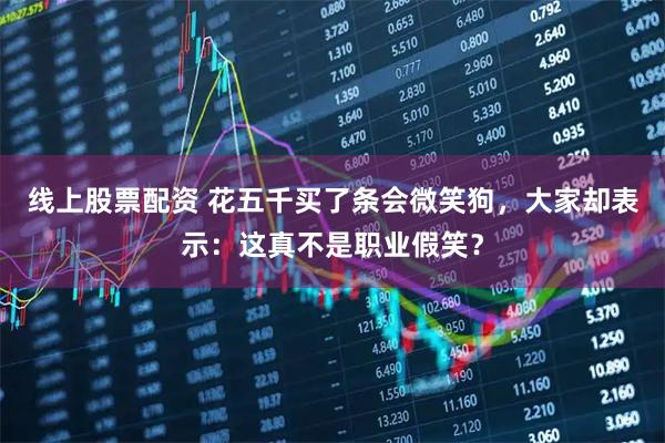 线上股票配资 花五千买了条会微笑狗，大家却表示：这真不是职业假笑？